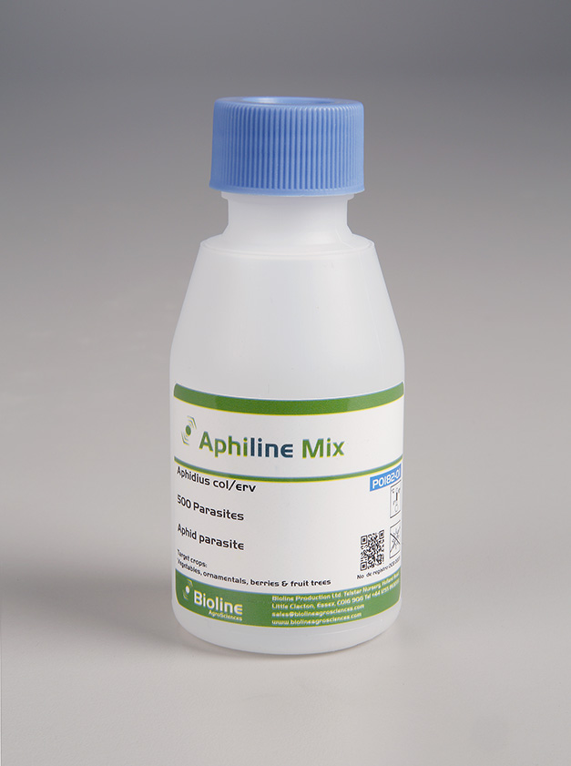 Aphiline CE Mix 500/unit 125ml Bottle - Biological Control